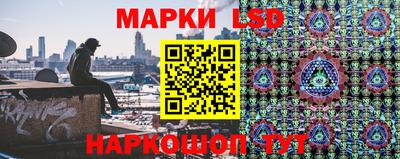 стаф Чебоксары