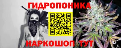 стаф Чебоксары